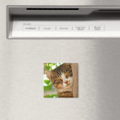 Cute Cat die een boom klimt Magneet (Insitu (Vaatwasser))