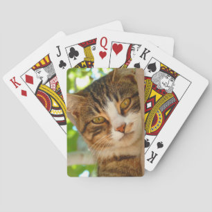 Cute Cat die een boom klimt Pokerkaarten