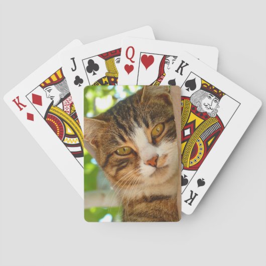 Cute Cat die een boom klimt Pokerkaarten (Achterkant)