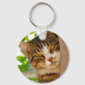 Cute Cat die een boom klimt Sleutelhanger (Voorkant)