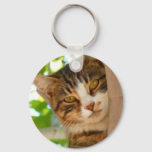 Cute Cat die een boom klimt Sleutelhanger (Voorkant)