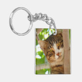 Cute Cat die een boom klimt Sleutelhanger (Voorkant Links)