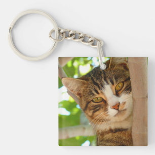 Cute Cat die een boom klimt Sleutelhanger