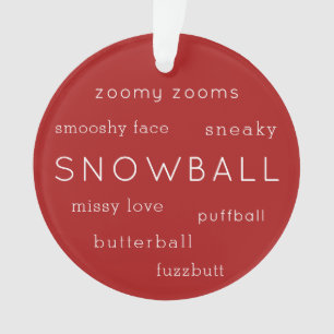 Cute Cat Dog Pet Photo Multiple Funny Nicknames Ornament