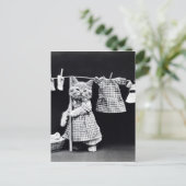 Cute Cat Doing Laundry in Clothes  Print Briefkaart (Staand voorkant)