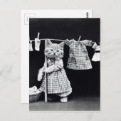Cute Cat Doing Laundry in Clothes  Print Briefkaart (Voorkant / Achterkant)
