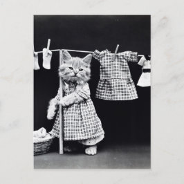 Cute Cat Doing Laundry in Clothes Print Briefkaart