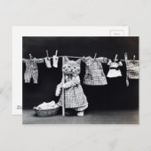 Cute Cat Doing Laundry in Clothes  Print Briefkaart (Voorkant / Achterkant)