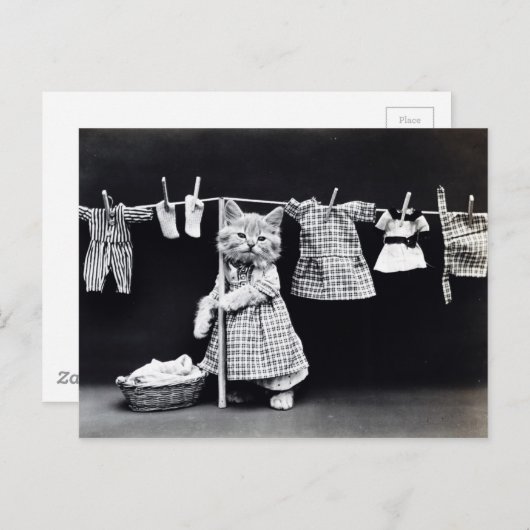 Cute Cat Doing Laundry in Clothes  Print Briefkaart (Voorkant / Achterkant)