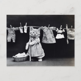 Cute Cat Doing Laundry in Clothes Print Briefkaart