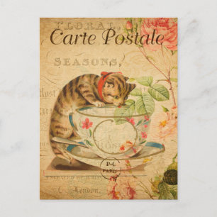 Cute Cat Drink de Tea Cup en de Saucer Briefkaart