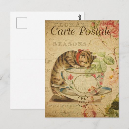  Cute Cat Drink de Tea Cup en de Saucer Briefkaart (Voorkant / Achterkant)