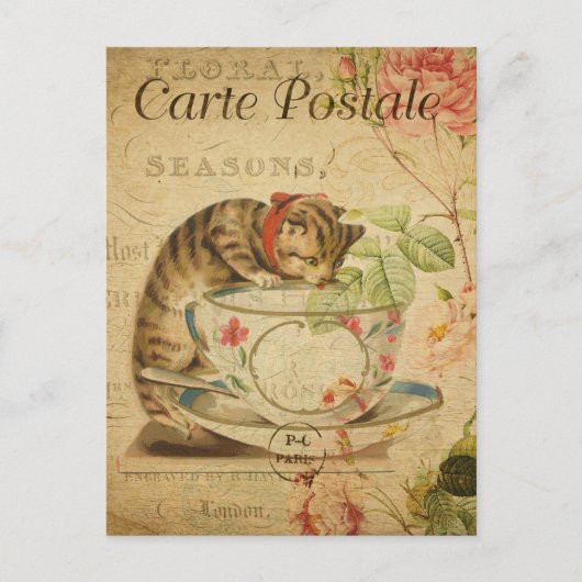  Cute Cat Drink de Tea Cup en de Saucer Briefkaart (Voorkant)