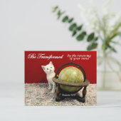 Cute Cat en Romans 12:2 Bijbelverse Briefkaart (Staand voorkant)