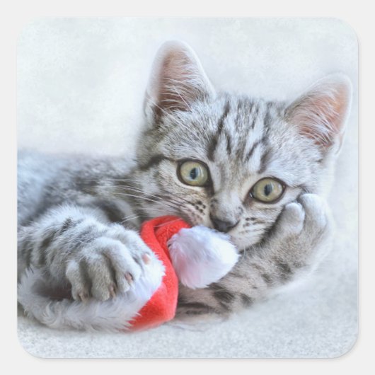 Cute Cat en Santa Claus Pet Vierkante Sticker (Voorkant)