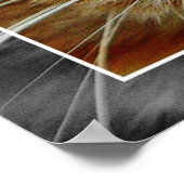 Cute Cat Face Collage Poster (Hoek)