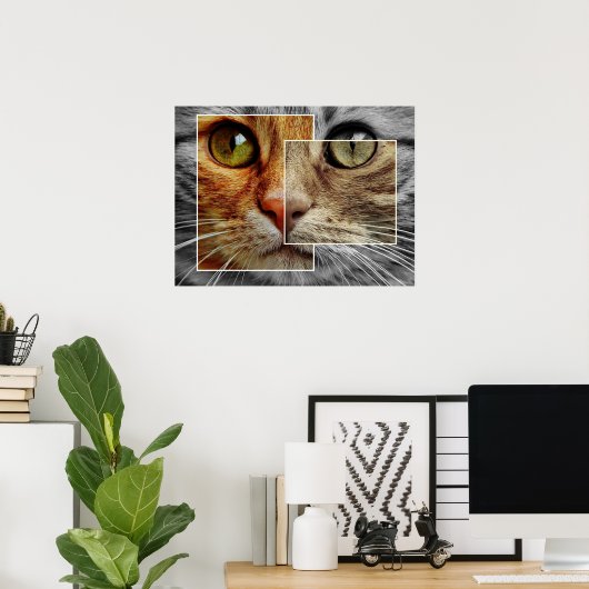 Cute Cat Face Collage Poster (Thuiskantoor)