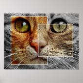Cute Cat Face Collage Poster (Voorkant)