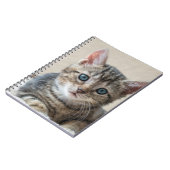 Cute Cat Face Notitieboek (Linkerzijde)