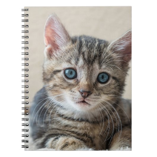 Cute Cat Face Notitieboek (Voorkant)