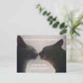 Cute Cat Friend Post Card Briefkaart (Staand voorkant)