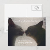 Cute Cat Friend Post Card Briefkaart (Voorkant / Achterkant)