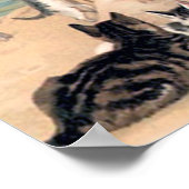 Cute Cat Fun bij de strand Poster (Hoek)