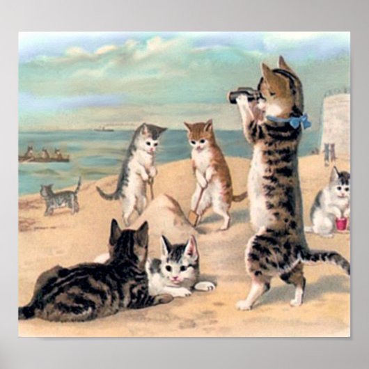 Cute Cat Fun bij de strand Poster (Voorkant)