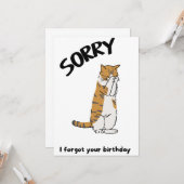 Cute Cat Funny Belated Birthday Kaart (Voorkant / Achterkant in situ)