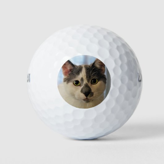 Cute Cat Golfballen (Voorkant)