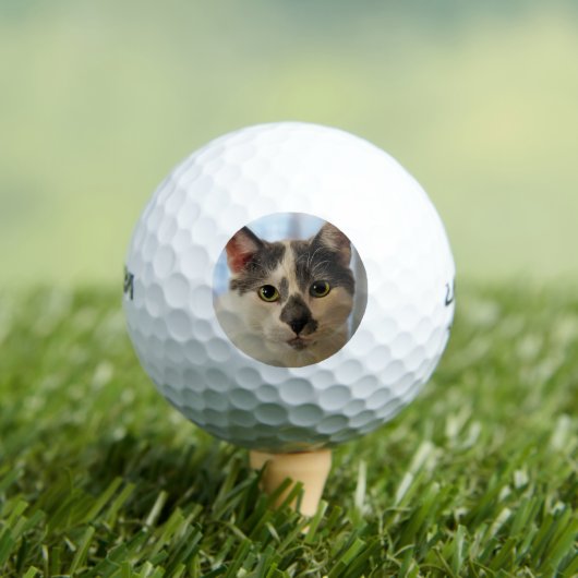 Cute Cat Golfballen (Insitu Shirt)