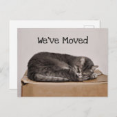 Cute Cat Grey Slaping on Box Briefkaart (Voorkant / Achterkant)