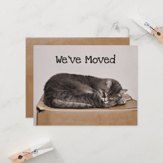 Cute Cat Grey Slaping on Box Kaart (Voorkant / Achterkant in situ)