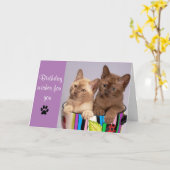 Cute Cat Happy Birthday Wenskaart Kaart (Gele Bloem)