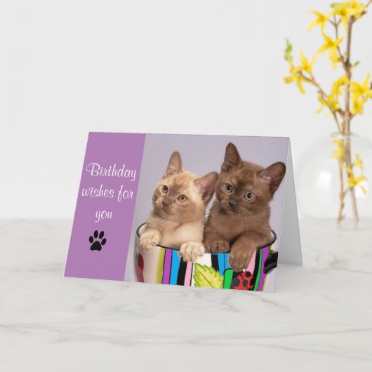 Cute Cat Happy Birthday Wenskaart Kaart (Gele Bloem)