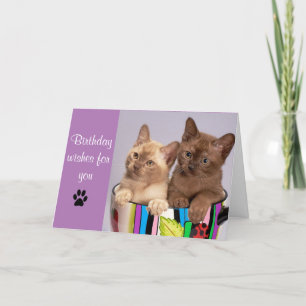 Cute Cat Happy Birthday Wenskaart Kaart