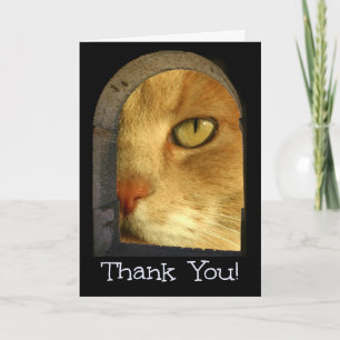Cute Cat Hartelijk dank voor de Kaart van de gezel