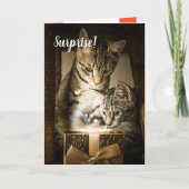 Cute Cat Heart Valentijnsdag Card Kaart (Voorkant)