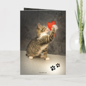 Cute Cat Heart Valentijnsdag Card Kaart (Achterkant)