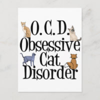 Cute Cat Humor