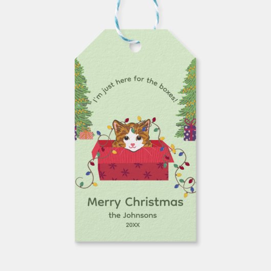 Cute Cat in a Box Here for the Boxes Christmas Cadeaulabel (Achterkant)