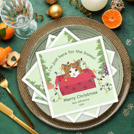 Cute Cat in a Box Here for the Boxes Christmas Servet