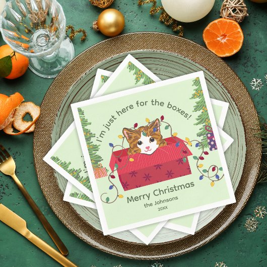 Cute Cat in a Box Here for the Boxes Christmas Servet