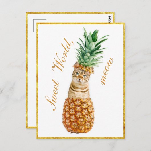 Cute Cat in een ananas - Funny Meow Kat Briefkaart (Voorkant / Achterkant)