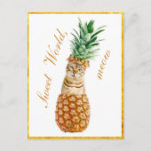 Cute Cat in een ananas - Funny Meow Kat Briefkaart (Voorkant)