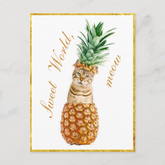Cute Cat in een ananas - Funny Meow Kat Briefkaart (Voorkant)