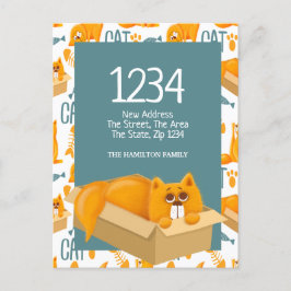 Cute Cat in een doos - We hebben naar huis gereden Briefkaart