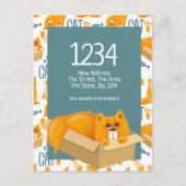 Cute Cat in een doos - We hebben naar huis gereden Briefkaart (Voorkant)