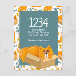 Cute Cat in een doos - We hebben naar huis gereden Briefkaart