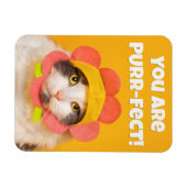 Cute Cat in Flower Pet Humor Magneet (Horizontaal)